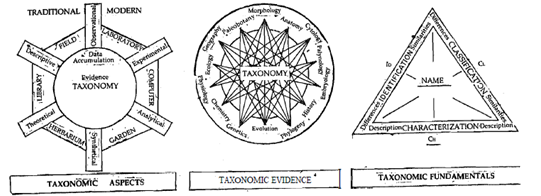 924_What do you mean by Taxonomist.png